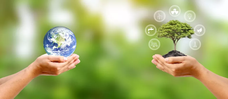 sfm-cosmos_verantwortung-nachhaltigkeit.jpg sfm-cosmos_verantwortung-nachhaltigkeit.jpg